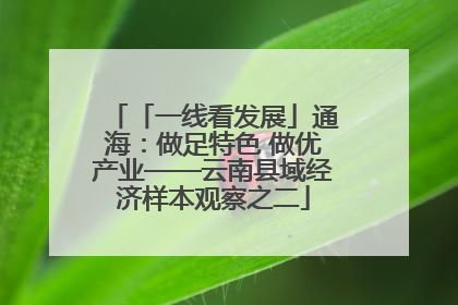 「一线看发展」通海：做足特色 做优产业——云南县域经济样本观察之二