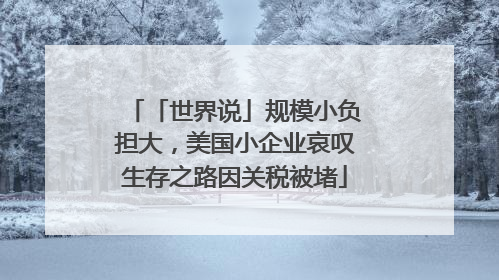 「世界说」规模小负担大，美国小企业哀叹生存之路因关税被堵