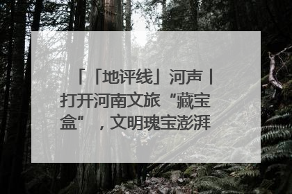 「地评线」河声丨打开河南文旅“藏宝盒”，文明瑰宝澎湃发展“豫动能”