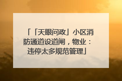 「天眼问政」小区消防通道设道闸，物业：违停太多规范管理