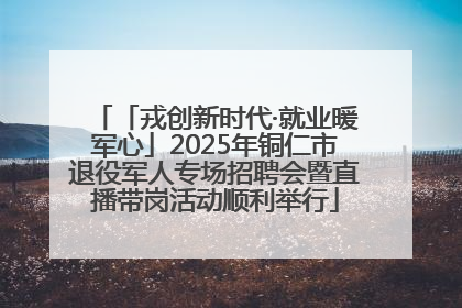 「戎创新时代·就业暖军心」2025年铜仁市退役军人专场招聘会暨直播带岗活动顺利举行