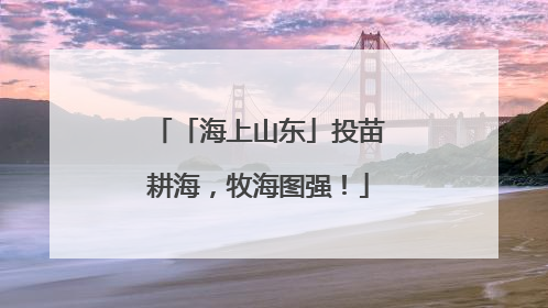 「海上山东」投苗耕海，牧海图强！