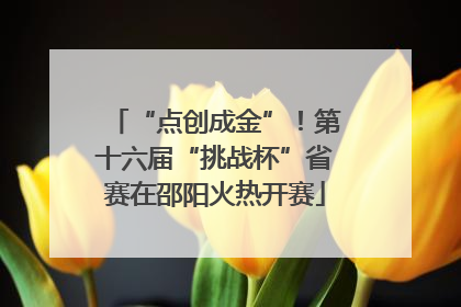 “点创成金”！第十六届“挑战杯”省赛在邵阳火热开赛
