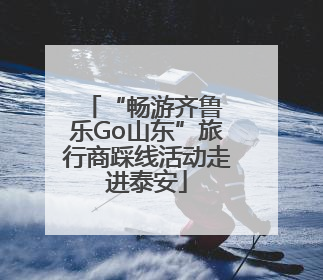 “畅游齐鲁 乐Go山东”旅行商踩线活动走进泰安
