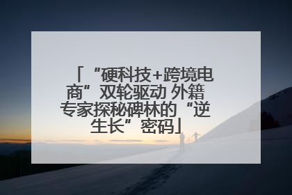 “硬科技+跨境电商”双轮驱动 外籍专家探秘碑林的“逆生长”密码