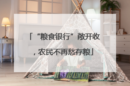 “粮食银行”敞开收，农民不再愁存粮