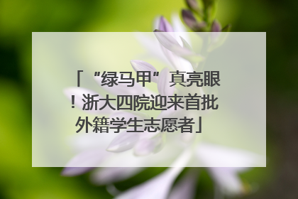 “绿马甲”真亮眼！浙大四院迎来首批外籍学生志愿者