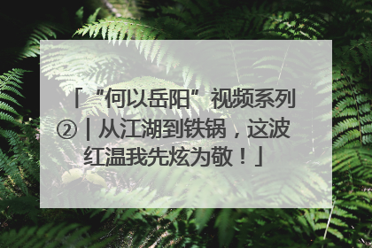 “何以岳阳”视频系列②｜从江湖到铁锅，这波红温我先炫为敬！