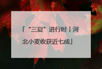 “三夏”进行时丨河北小麦收获近七成