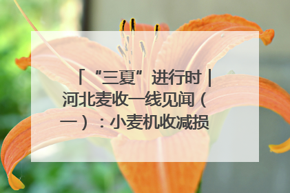 “三夏”进行时｜河北麦收一线见闻（一）：小麦机收减损“竞技” 农机高手麦田“过招”