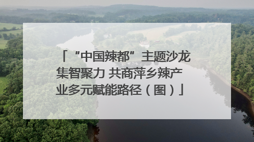 “中国辣都”主题沙龙集智聚力 共商萍乡辣产业多元赋能路径（图）