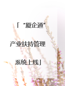 “厦企通”产业扶持管理系统上线