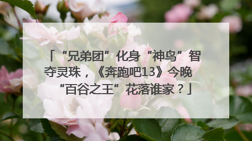 “兄弟团”化身“神鸟”智夺灵珠，《奔跑吧13》今晚“百谷之王”花落谁家？