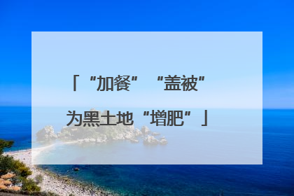 “加餐”“盖被” 为黑土地“增肥”