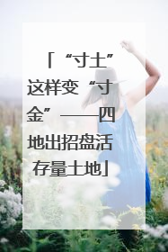 “寸土”这样变“寸金”——四地出招盘活存量土地