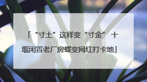 “寸土”这样变“寸金” 十堰闲置老厂房蝶变网红打卡地