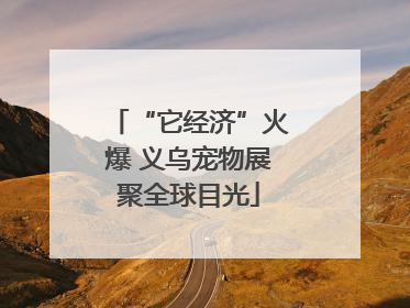 “它经济”火爆 义乌宠物展聚全球目光