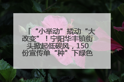 “小举动”撬动“大改变”！宁阳华丰镇街头掀起低碳风，150份宣传单“种”下绿色生活新种子