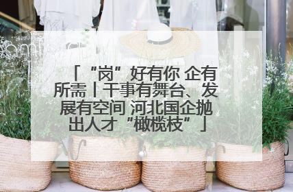 “岗”好有你 企有所需丨干事有舞台、发展有空间 河北国企抛出人才“橄榄枝”
