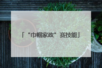 “巾帼家政”赛技能