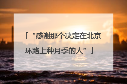 “感谢那个决定在北京环路上种月季的人”
