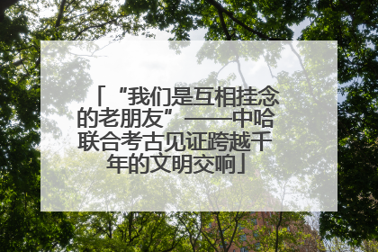 “我们是互相挂念的老朋友”——中哈联合考古见证跨越千年的文明交响