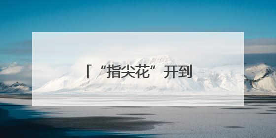 “指尖花”开到世界橱窗 小凉山千年纹样绽新色