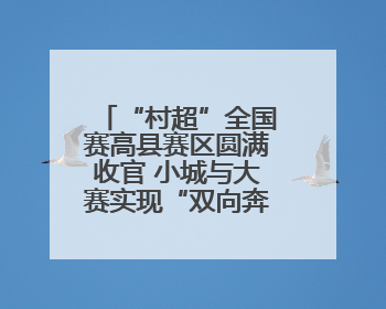 “村超”全国赛高县赛区圆满收官 小城与大赛实现“双向奔赴”