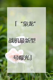 “枭龙”战机最新型号曝光