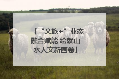 “文旅+”业态融合赋能 绘就山水人文新画卷
