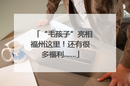 “毛孩子”亮相福州这里！还有很多福利……
