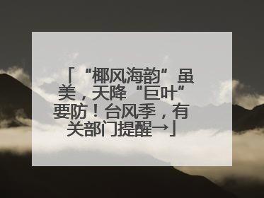 “椰风海韵”虽美，天降“巨叶”要防！台风季，有关部门提醒→