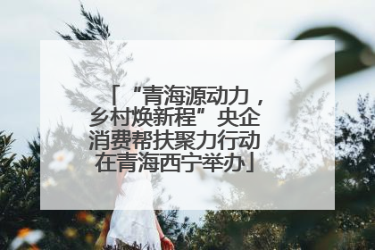 “青海源动力，乡村焕新程”央企消费帮扶聚力行动在青海西宁举办