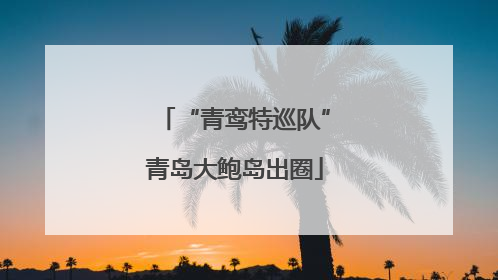 “青鸾特巡队”青岛大鲍岛出圈