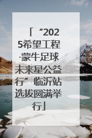 “2025希望工程·蒙牛足球未来星公益行”临沂站选拔圆满举行