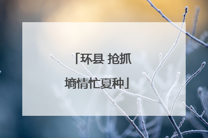 环县 抢抓墒情忙夏种