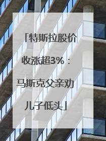 特斯拉股价收涨超3%：马斯克父亲劝儿子低头