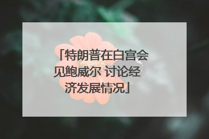 特朗普在白宫会见鲍威尔 讨论经济发展情况