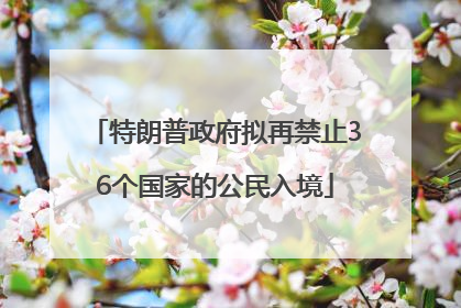 特朗普政府拟再禁止36个国家的公民入境