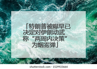 特朗普被曝早已决定对伊朗动武 称“两周内决策”为烟雾弹