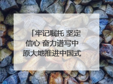 牢记嘱托 坚定信心 奋力谱写中原大地推进中国式现代化新篇章（六）河南绘就“行走河南·读懂中国”新画卷丨牢记嘱托谱新篇