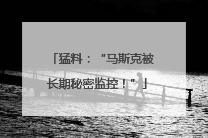 猛料：“马斯克被长期秘密监控！”