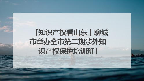 知识产权看山东｜聊城市举办全市第二期涉外知识产权保护培训班