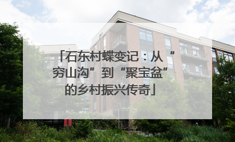 石东村蝶变记：从“穷山沟”到“聚宝盆”的乡村振兴传奇