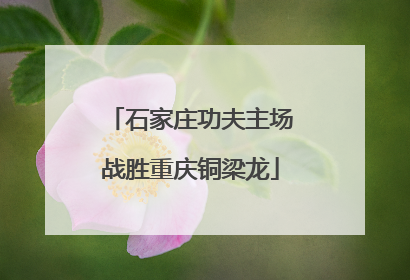 石家庄功夫主场战胜重庆铜梁龙
