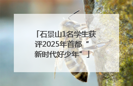 石景山1名学生获评2025年首都“新时代好少年”