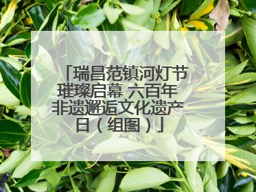 瑞昌范镇河灯节璀璨启幕 六百年非遗邂逅文化遗产日（组图）