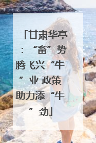 甘肃华亭：“畜”势腾飞兴“牛”业 政策助力添“牛”劲