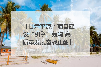 甘肃平凉：项目建设“引擎”轰鸣 高质量发展奋战正酣