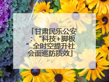 甘肃民乐公安：“科技+脚板”全时空提升社会面巡防质效